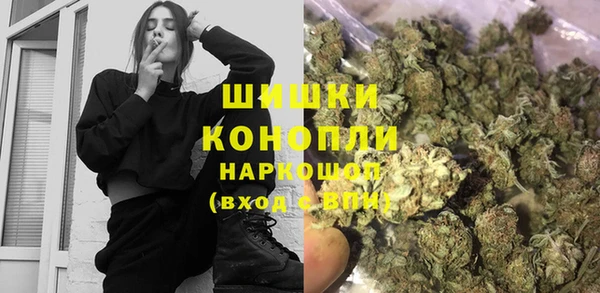 ПСИЛОЦИБИНОВЫЕ ГРИБЫ Арсеньев