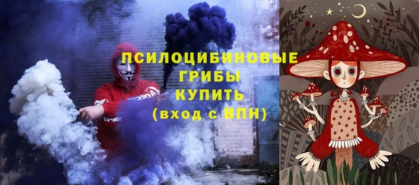 ПСИЛОЦИБИНОВЫЕ ГРИБЫ Арсеньев