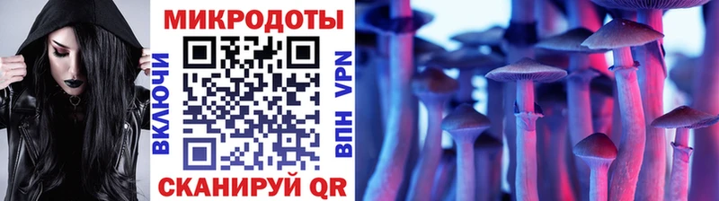 блэк спрут как зайти  Ульяновск  Галлюциногенные грибы Magic Shrooms 