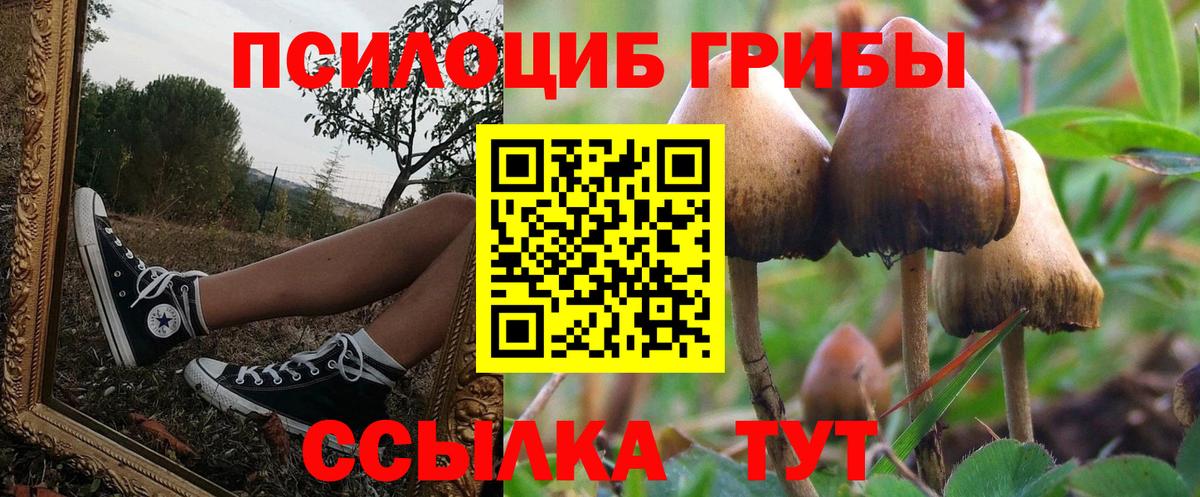 Ульяновск  Галлюциногенные грибы прущие грибы  Галлюциногенные грибы Cubensis  Вход с VPN 